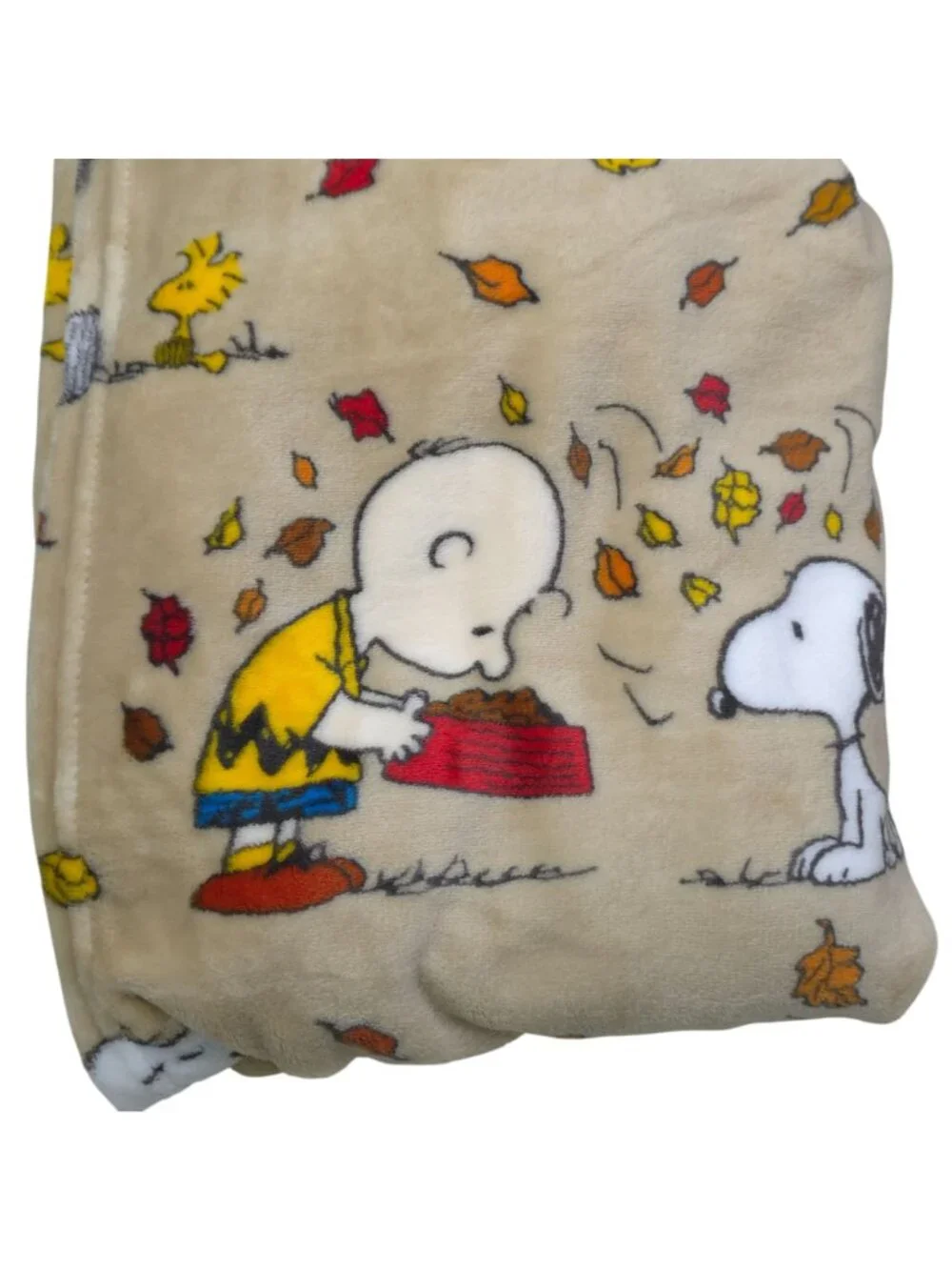 Peanuts Snoopy Fall Soft Plush Throw Blanket 50 X 70